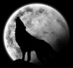 Clair De Lune...